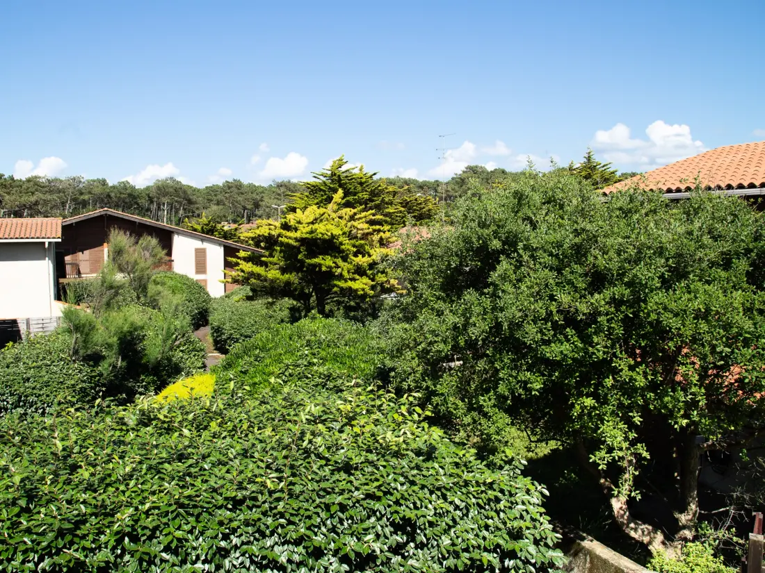 Maison de Vacances Seignosse 15