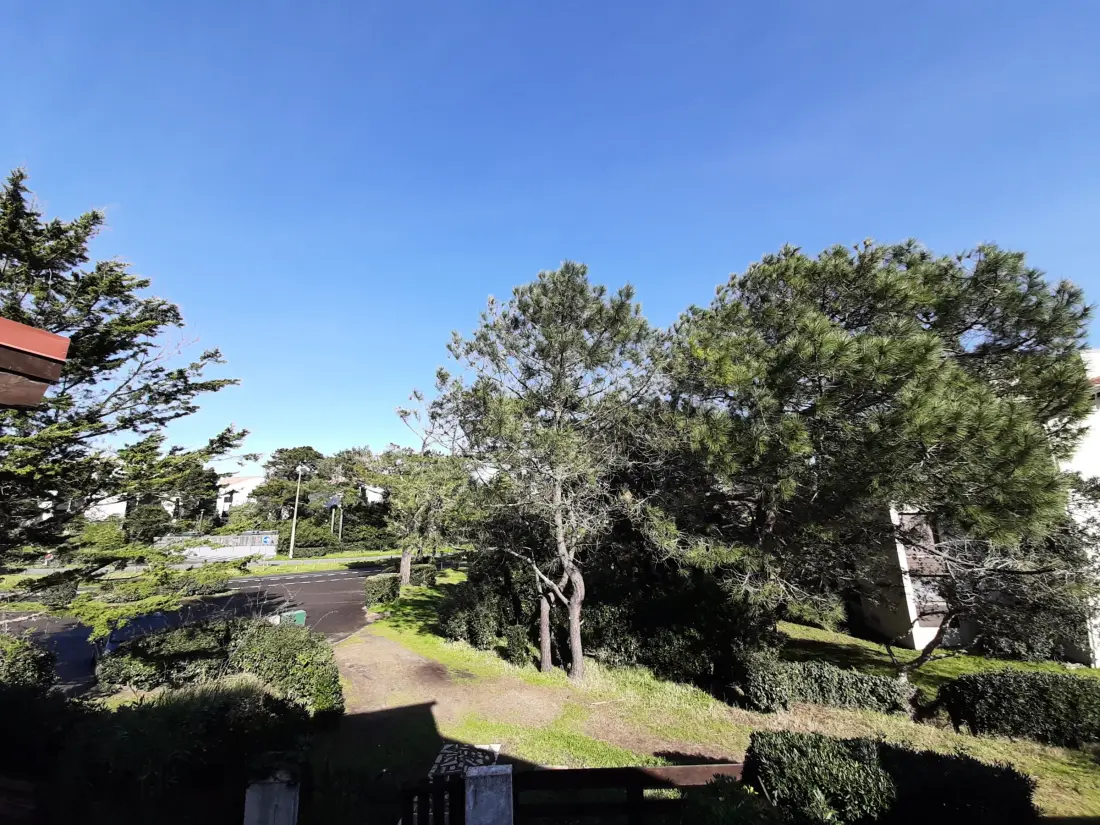 Maison de Vacances Seignosse 266
