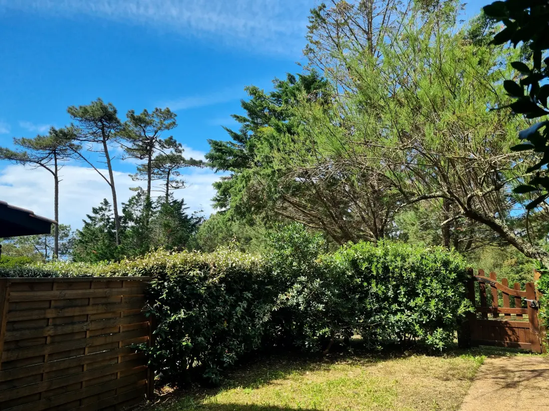 Maison de Vacances Seignosse 344