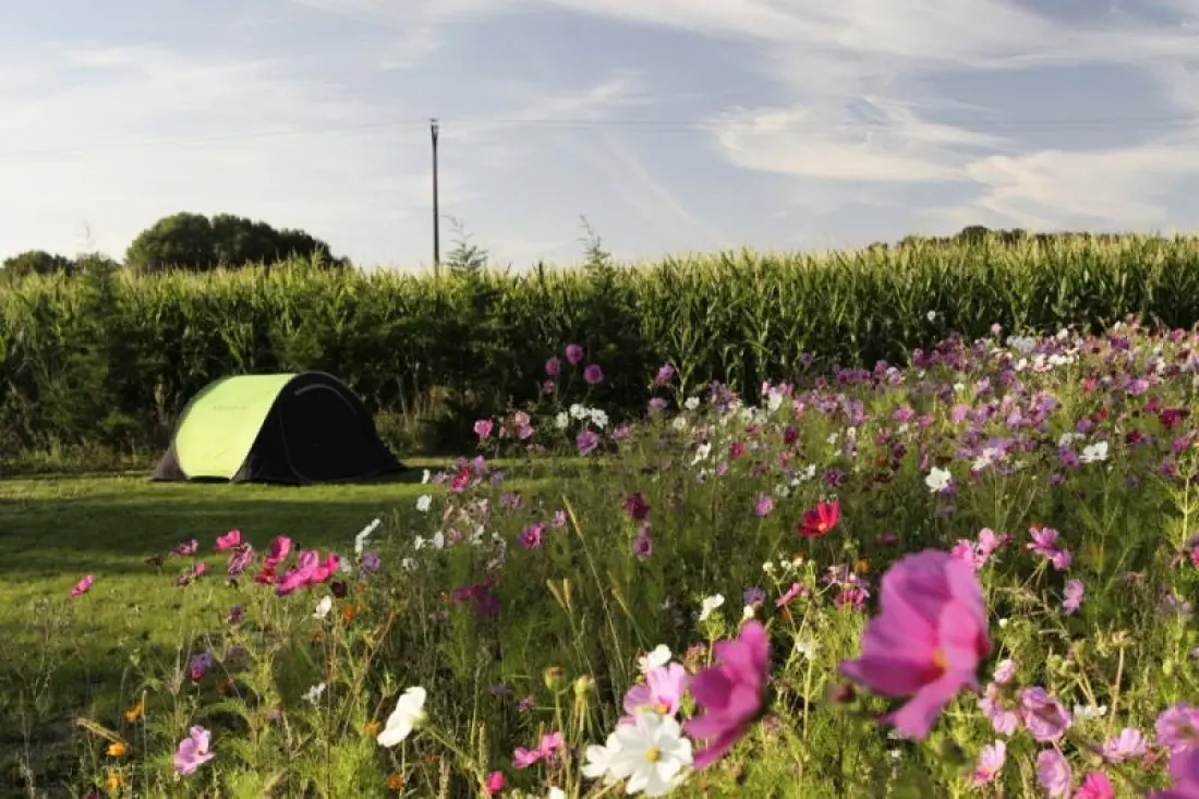Camping Ferme Pédagogique de Prunay 4 étoiles★★★★