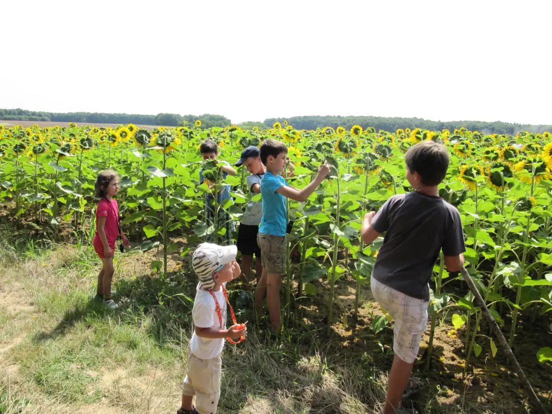 Camping Ferme Pédagogique de Prunay 4 étoiles★★★★