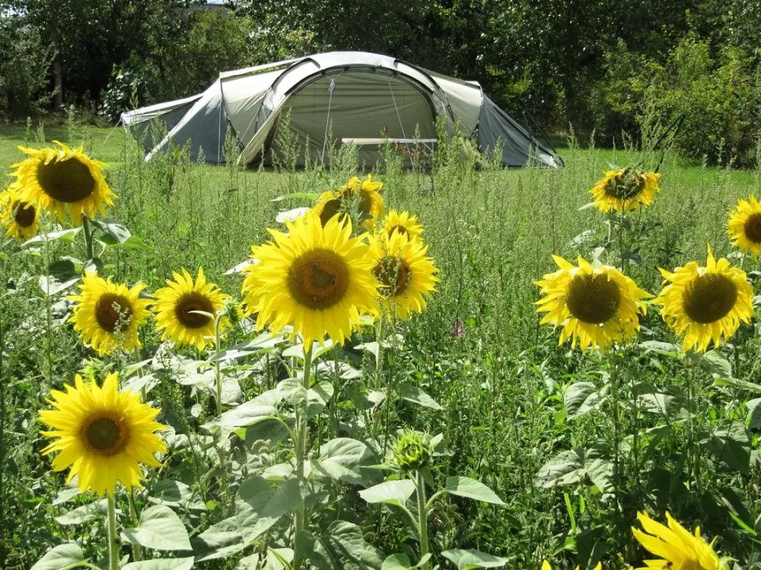 Camping Ferme Pédagogique de Prunay 4 étoiles★★★★