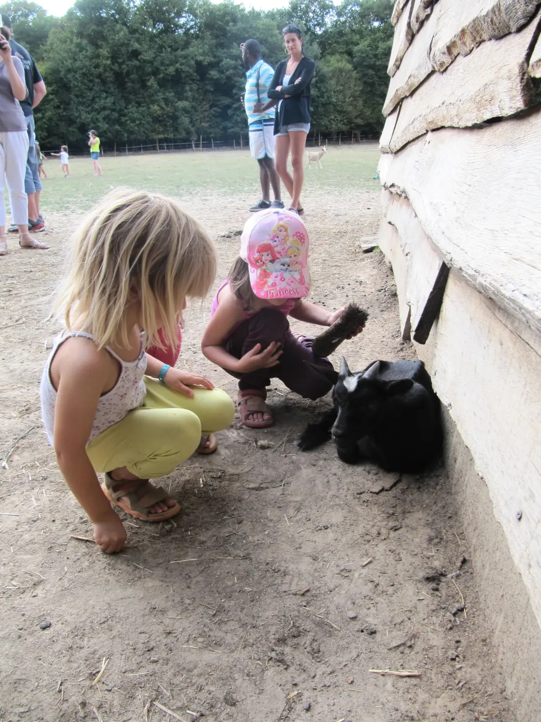 Camping Ferme Pédagogique de Prunay 4 étoiles★★★★