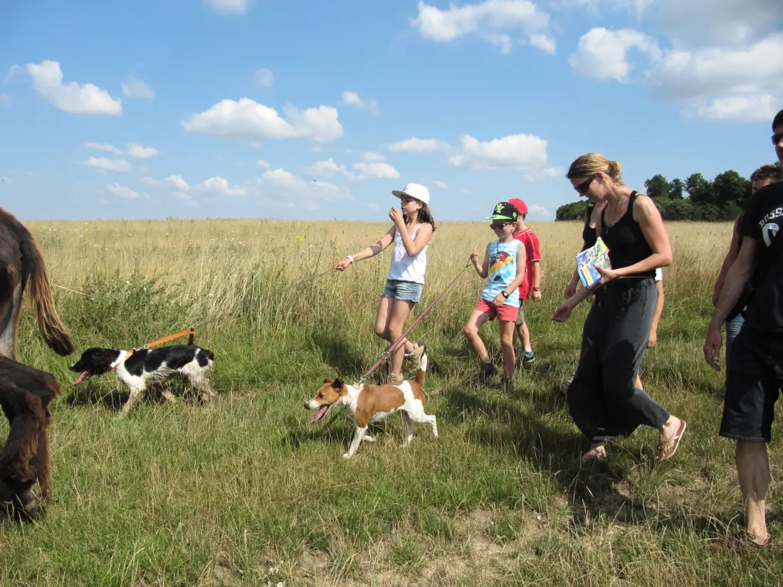 Camping Ferme Pédagogique de Prunay 4 étoiles★★★★