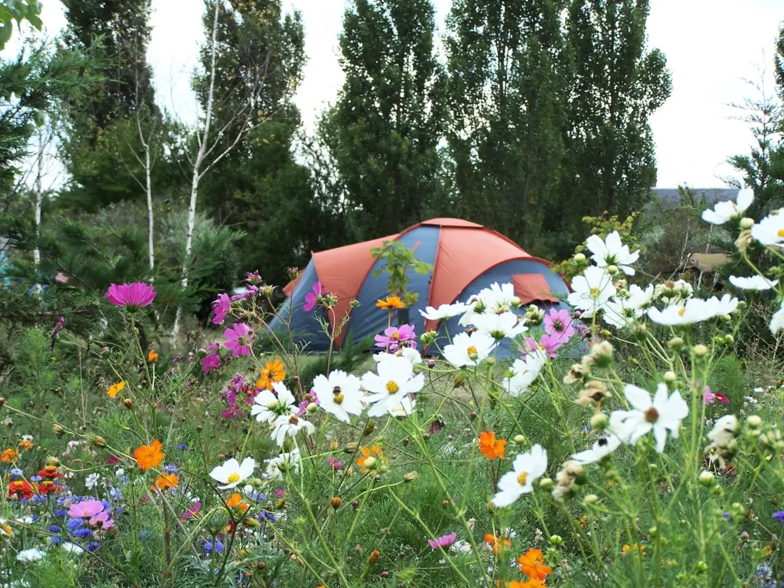 Camping Ferme Pédagogique de Prunay 4 étoiles★★★★