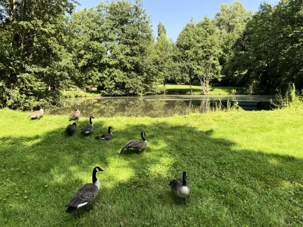 Maison de Vacances SENLISSE 4