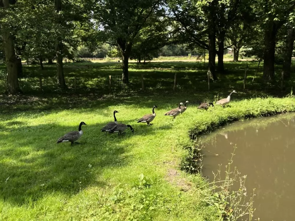 Maison de Vacances SENLISSE 4