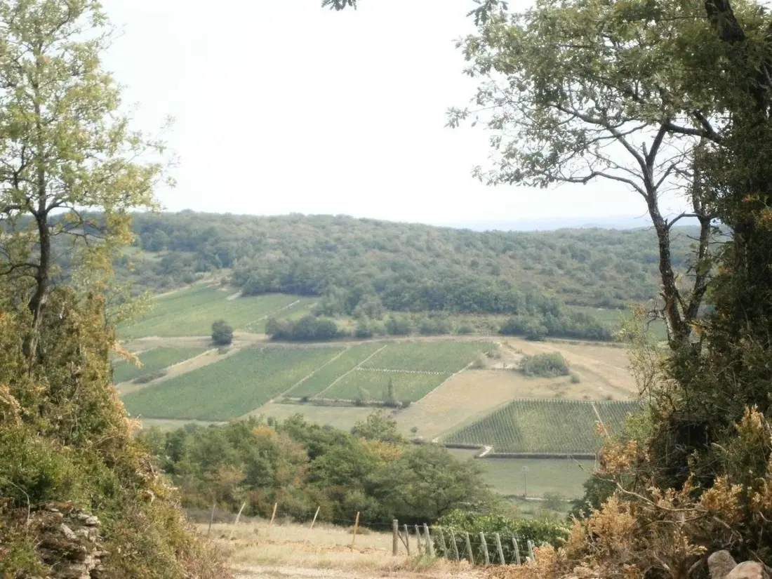 Maison de Vacances Sennecey le Grand