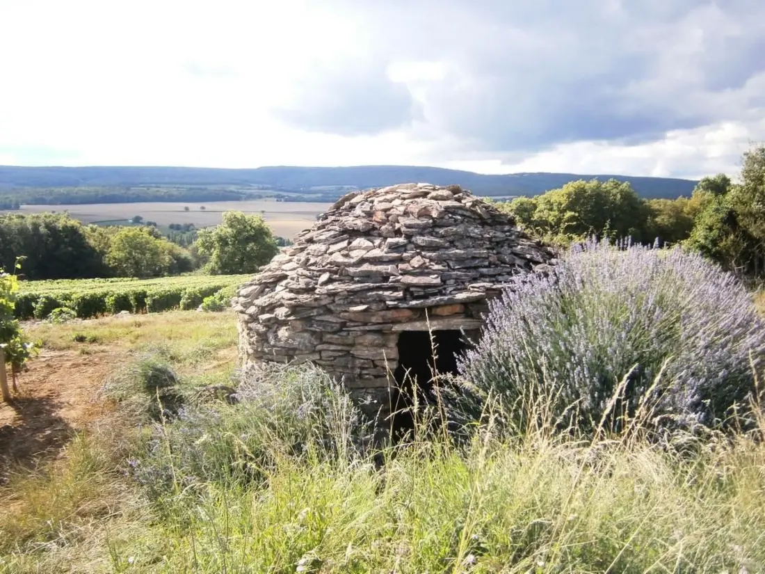 Maison de Vacances Sennecey le Grand