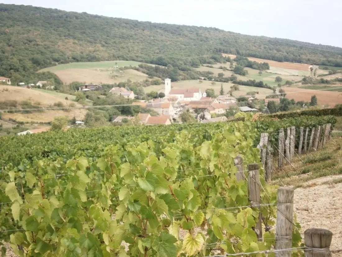 Maison de Vacances Sennecey le Grand