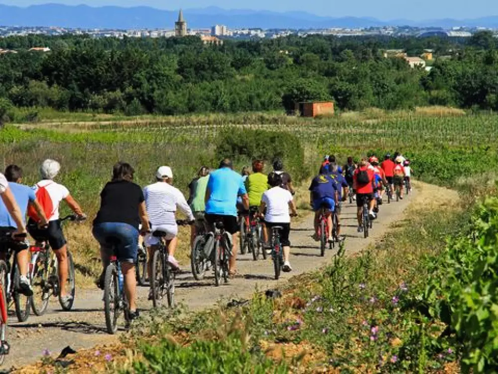 Camping Bleu Marine   4 étoiles★★★★