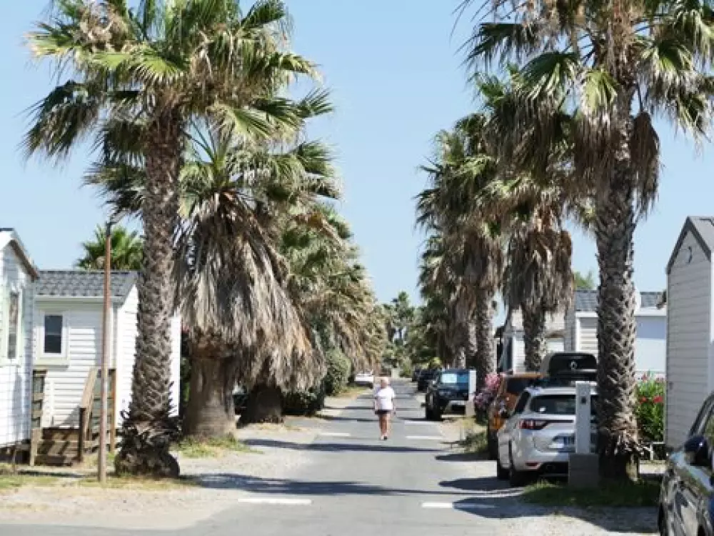 Camping Bleu Marine   4 étoiles★★★★