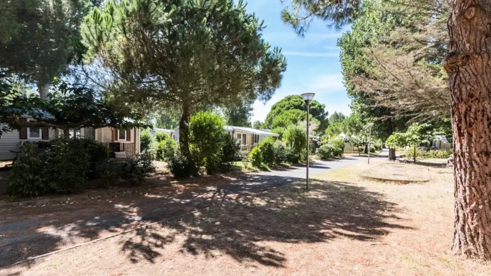Camping l'Etoile de Mer 4 étoiles★★★★