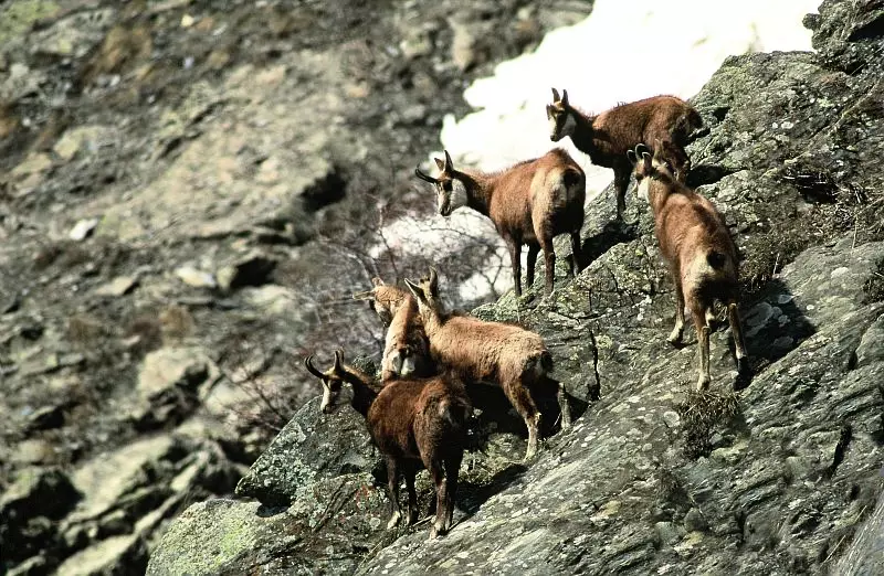 Résidence Le Concorde