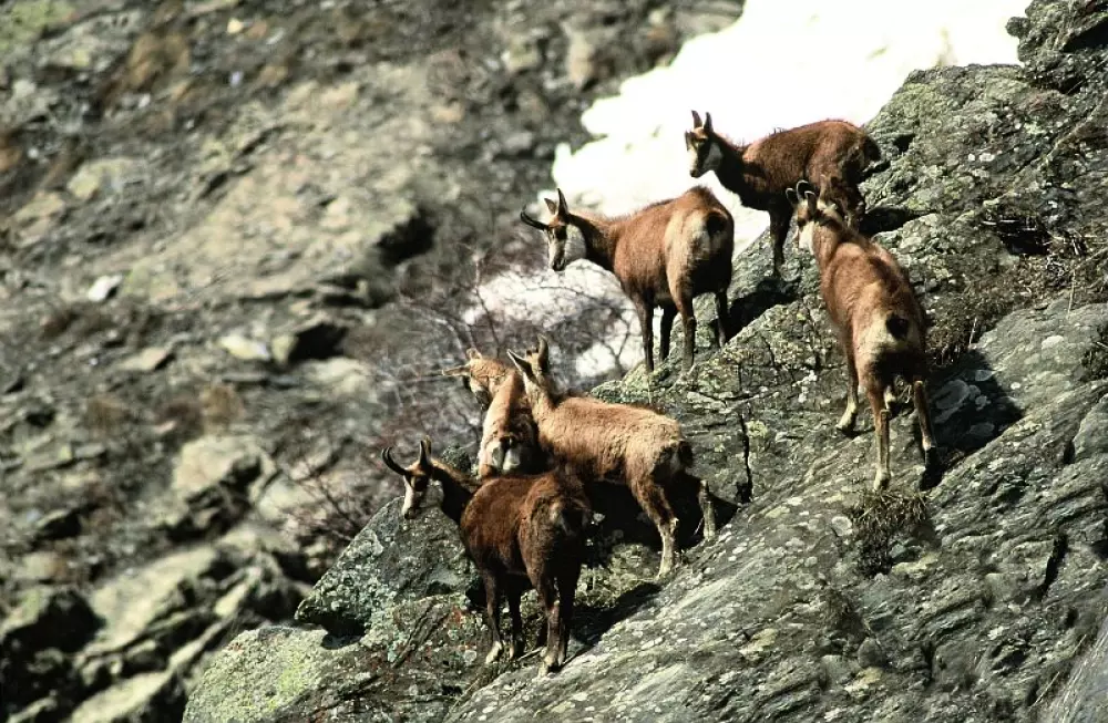 Résidence Le Concorde