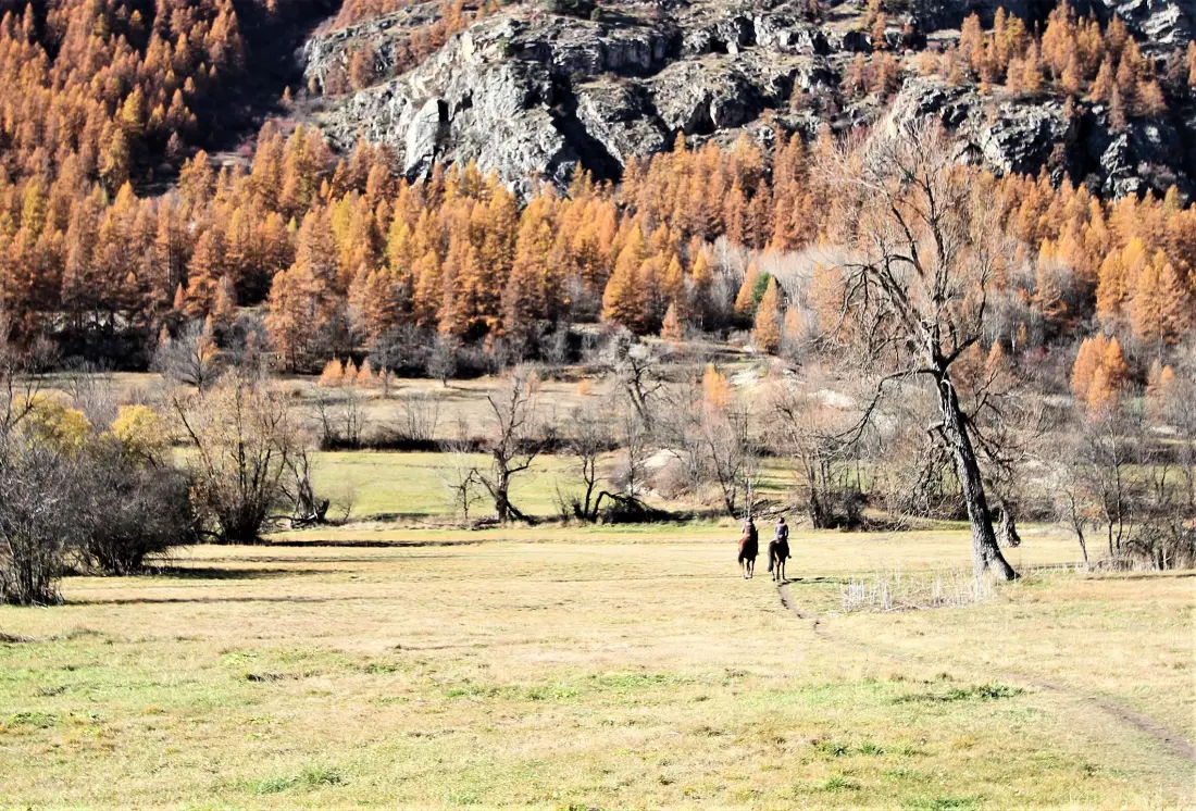 Résidence Grand Serre Che