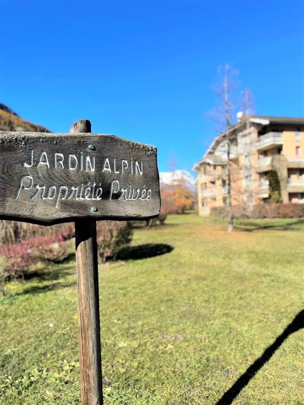 Résidence Jardins Alpins D