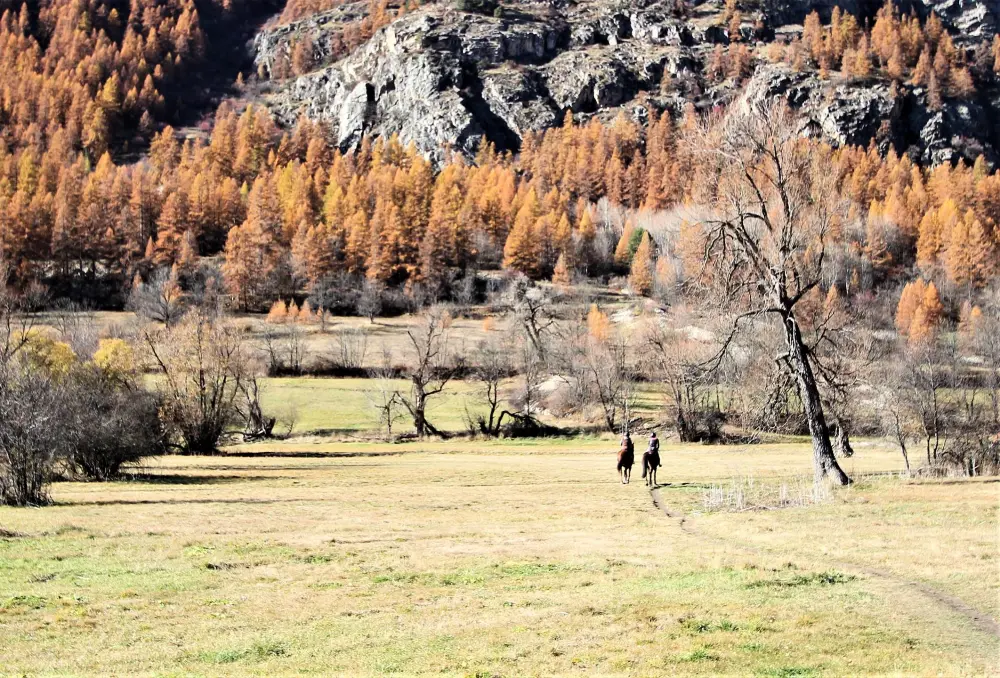 Résidence Jardins Alpins D