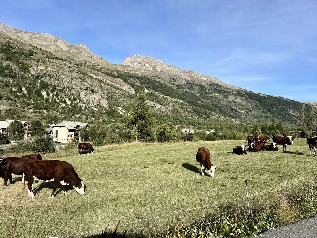Résidence Guisane
