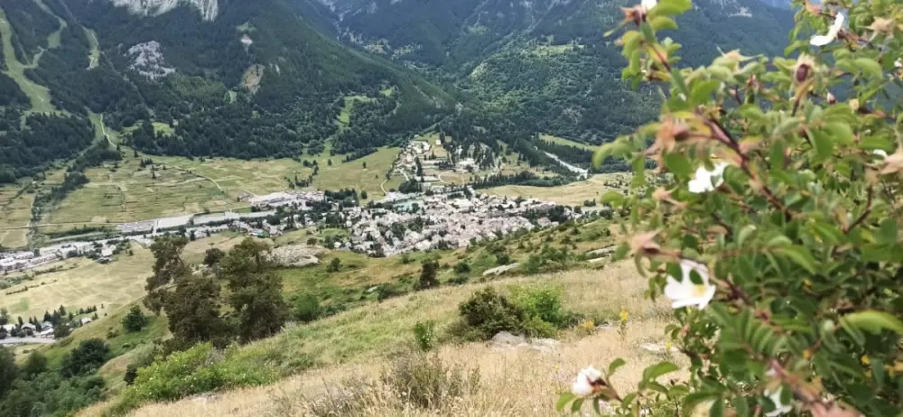 Lumineux 30 M² Avec Balcon  Centre Village