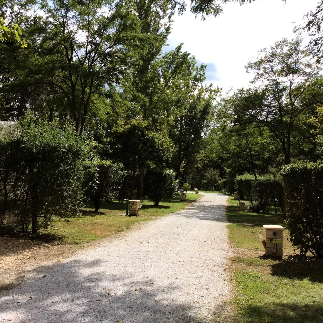 Camping  de Rousieux 4 étoiles★★★★