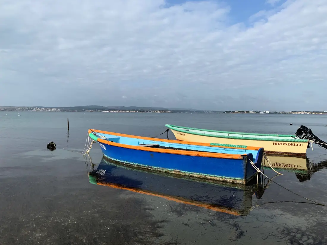 Location de Vacances Sete 314