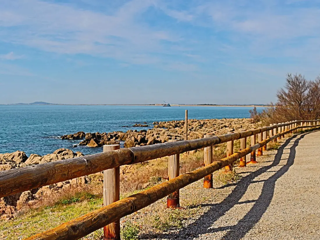 Location de Vacances Sete 569