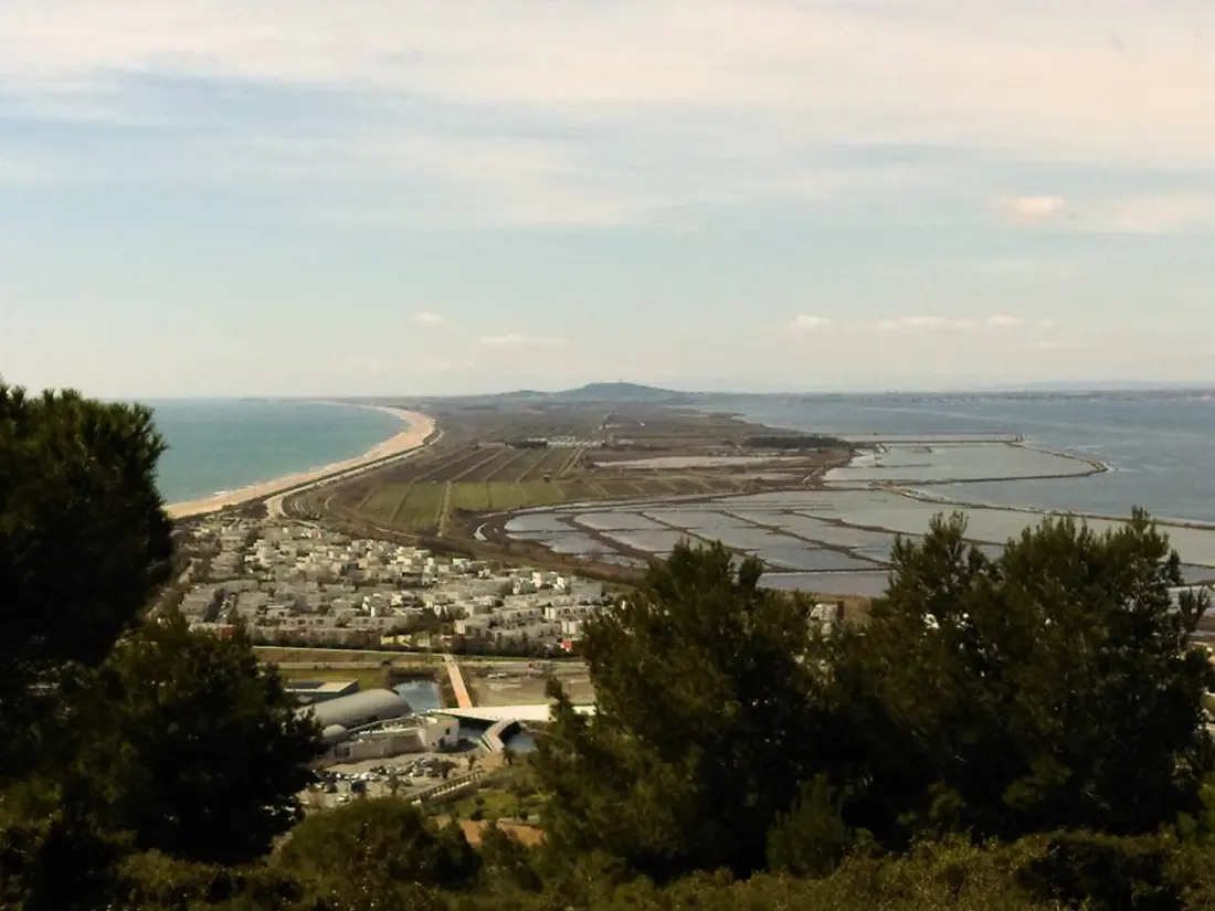 Location de Vacances Sete 587