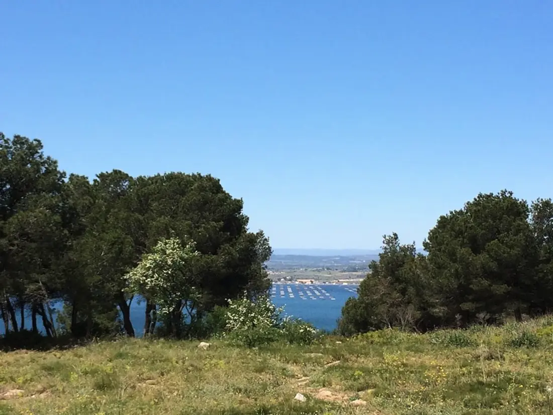 Location de Vacances Sete 837