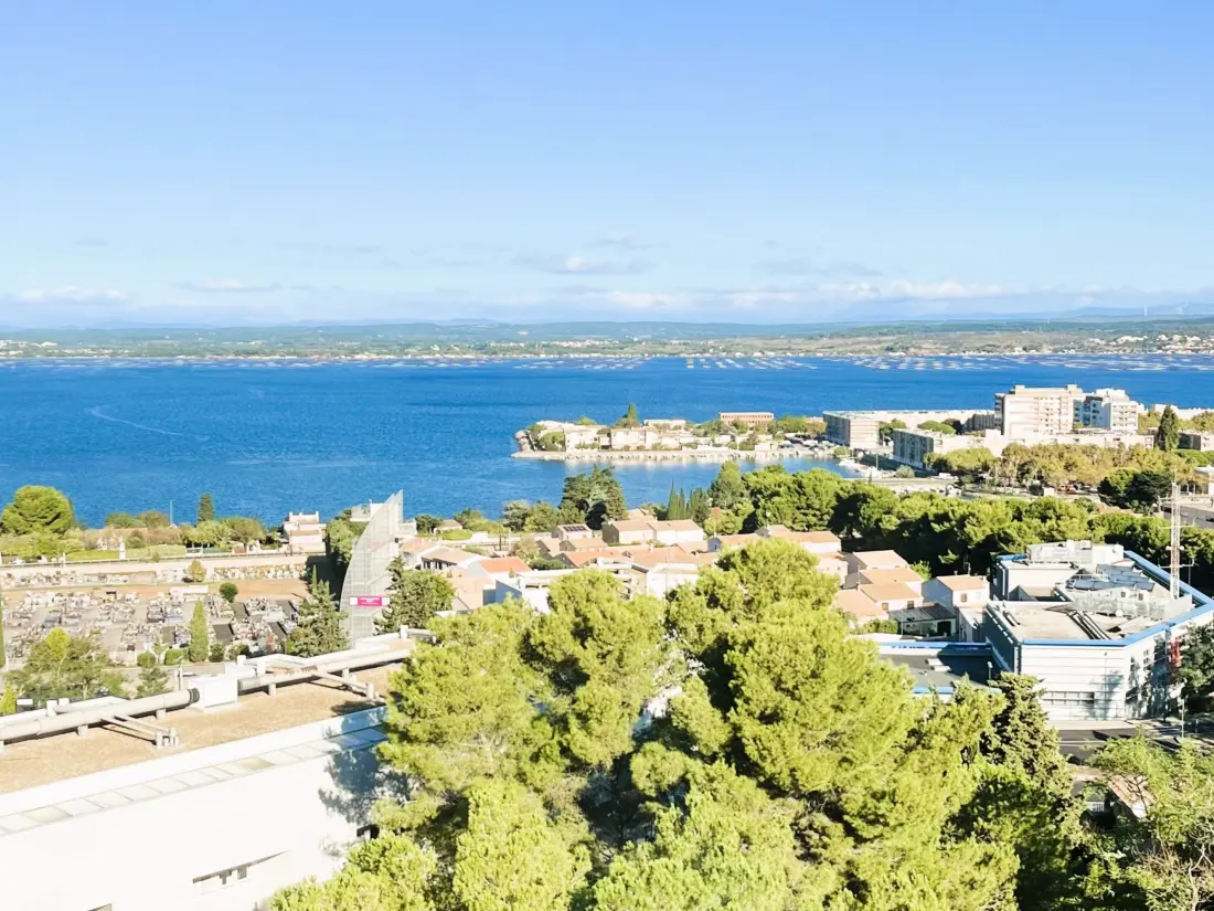 Location de Vacances Sete 837
