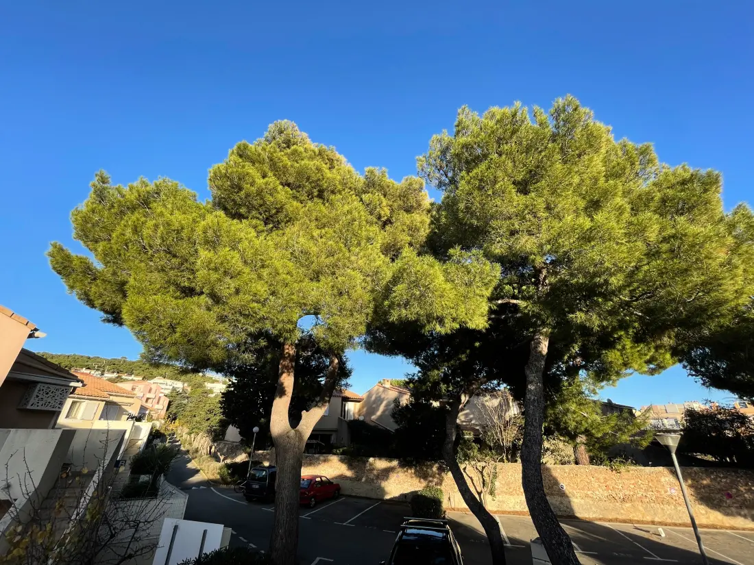 Location de Vacances Sete 934