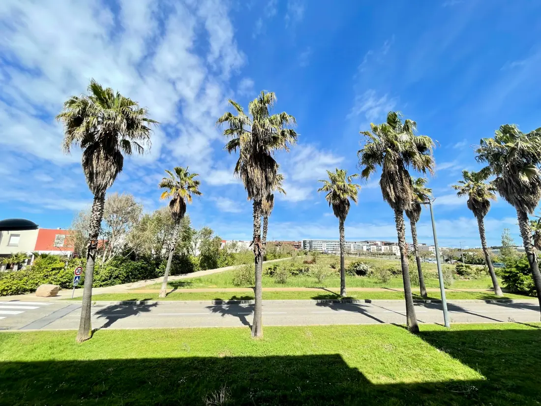 Location de Vacances Sete 985