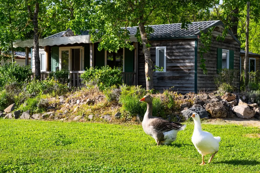 Camping Le Plô Aveyron 3 étoiles★★★