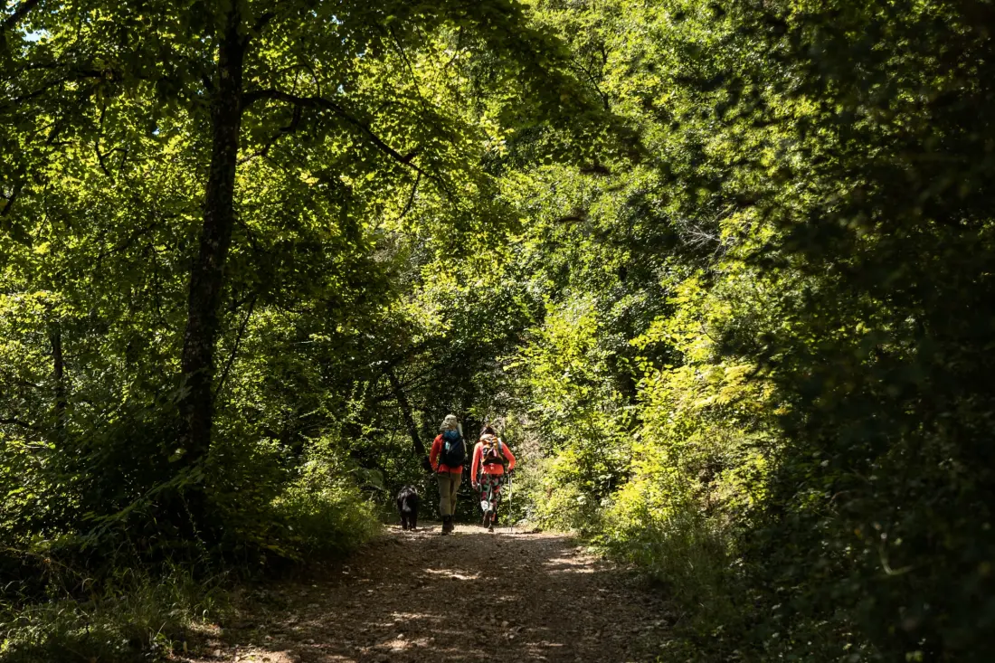 Camping LES CALQUIERES 5 étoiles★★★★★