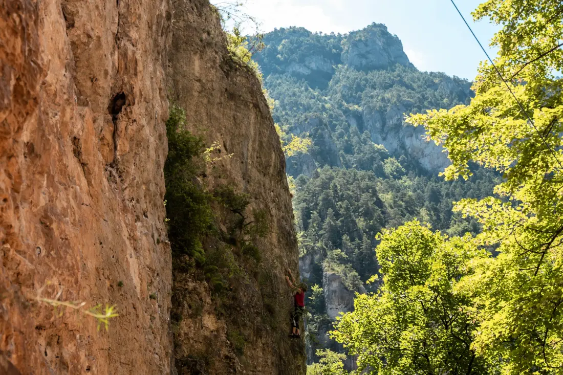 Camping LES CALQUIERES 5 étoiles★★★★★