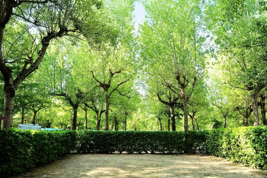 PARCO DELLE PISCINE 4 étoiles★★★★