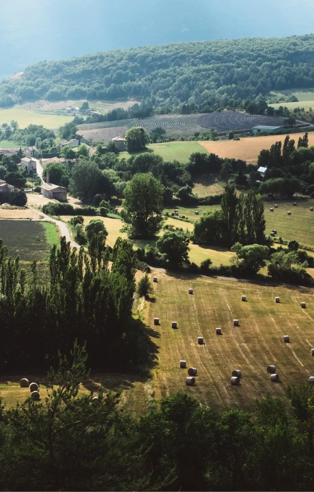 Camping La Roudelière