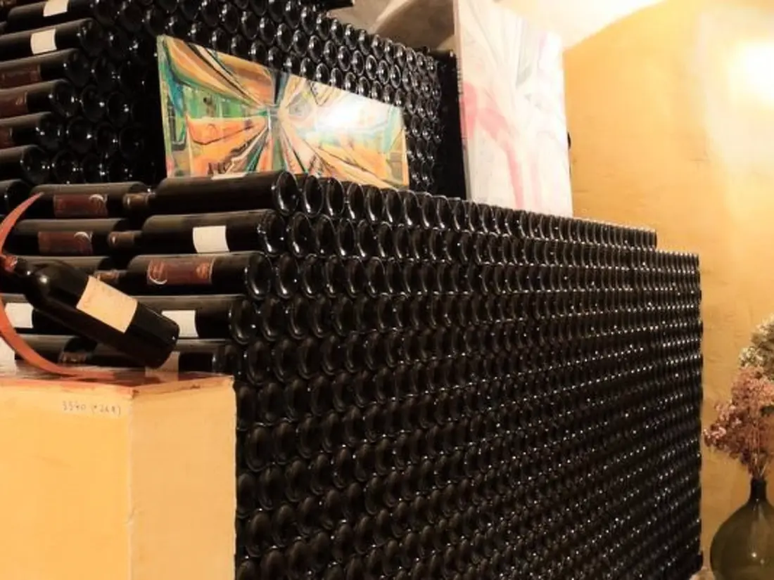 Résidence Gemütliches Studio inmitten von Weinbergen und Olivenbäumen