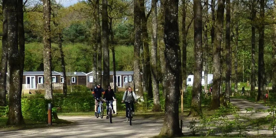 Camping Seasonova La Forêt 3 étoiles★★★