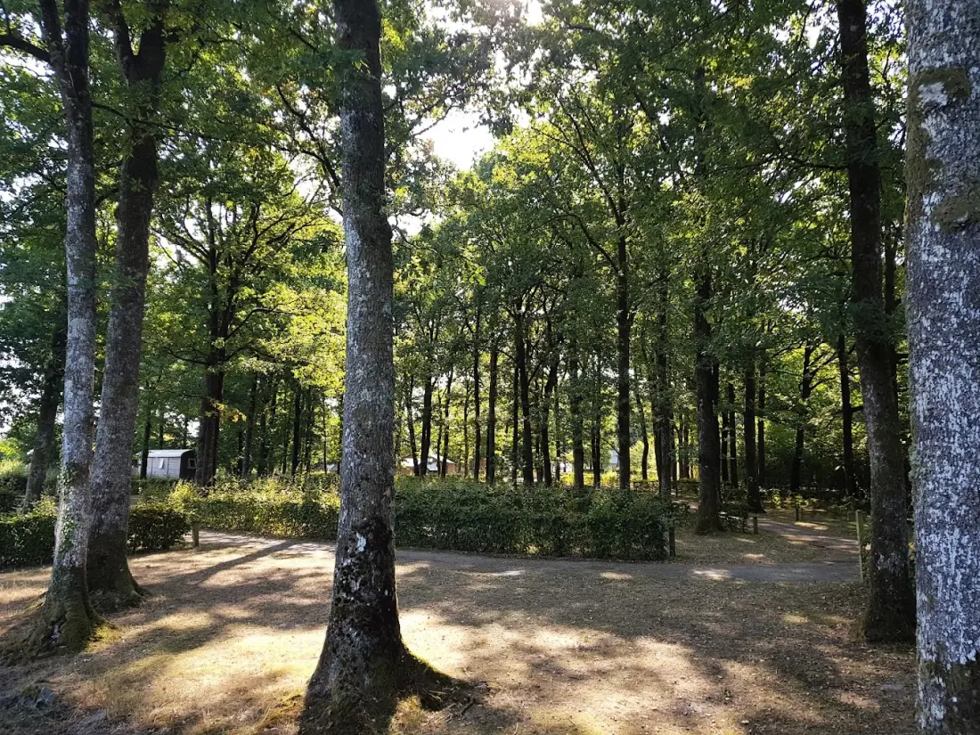 Camping Seasonova La Forêt 3 étoiles★★★