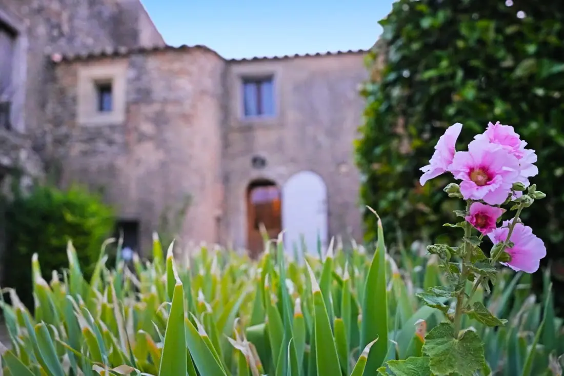 Mas La Miellerie | Charme Authentique Et Nature