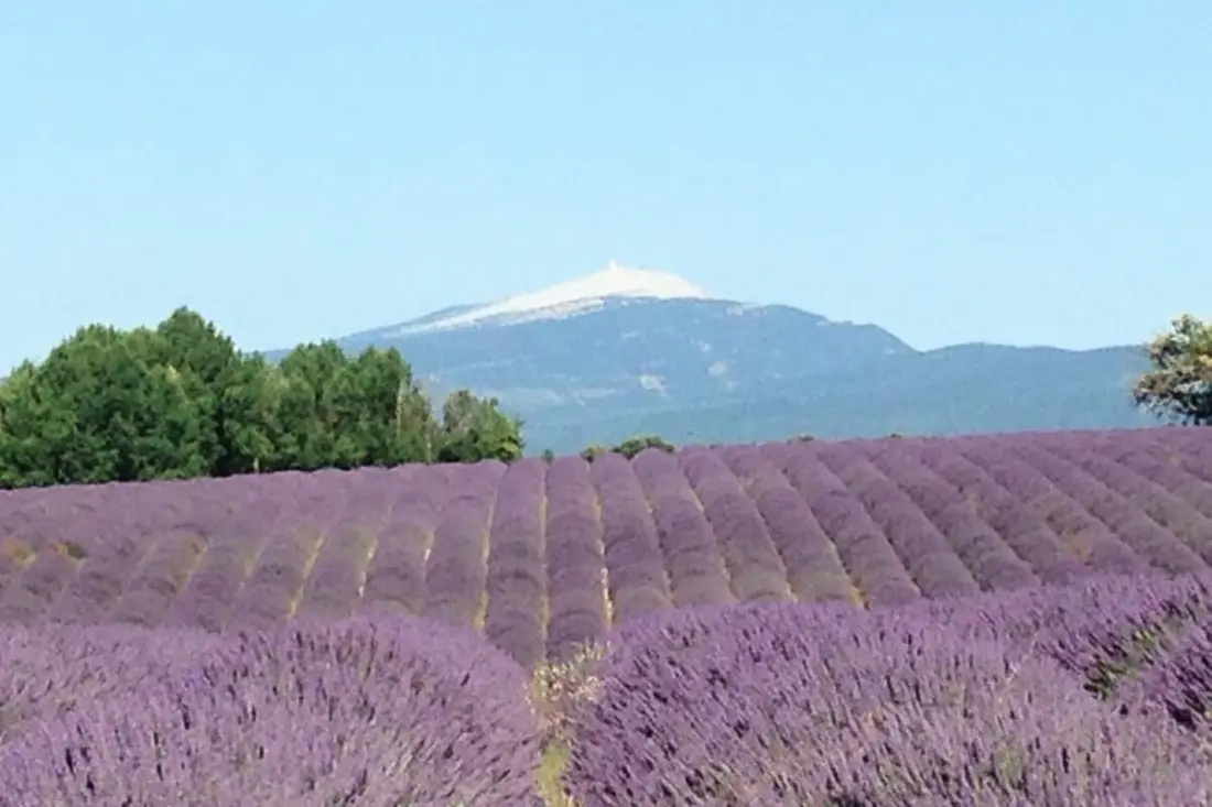 Mas La Miellerie | Charme Authentique Et Nature