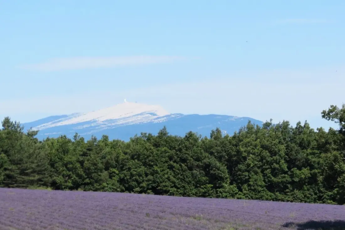 Mas La Miellerie | Charme Authentique Et Nature