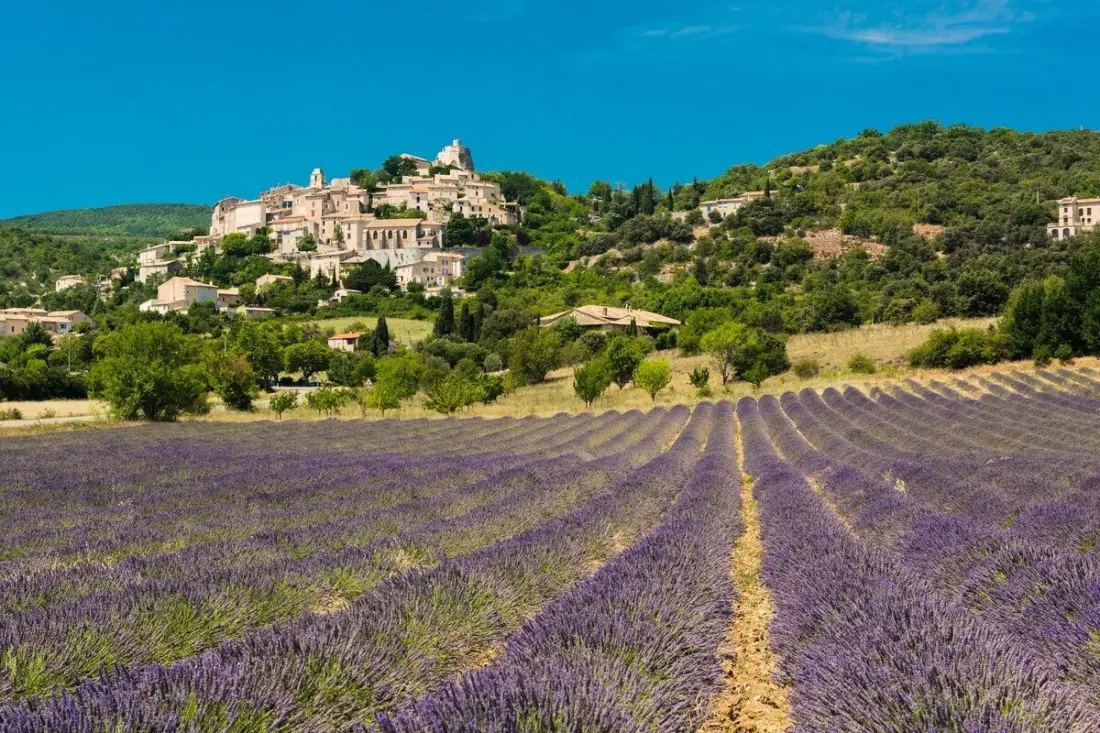 Mas La Miellerie | Charme Authentique Et Nature