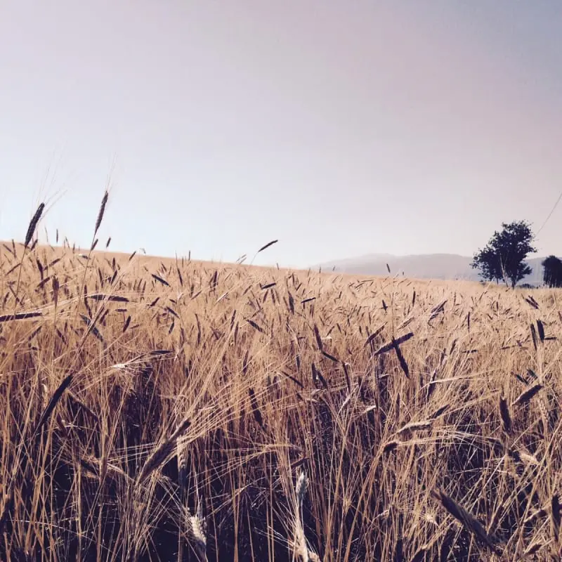 Mas La Miellerie | Charme Authentique Et Nature
