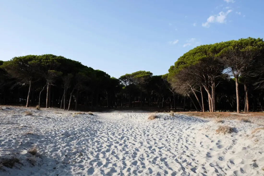 Camping Selema 3 étoiles★★★