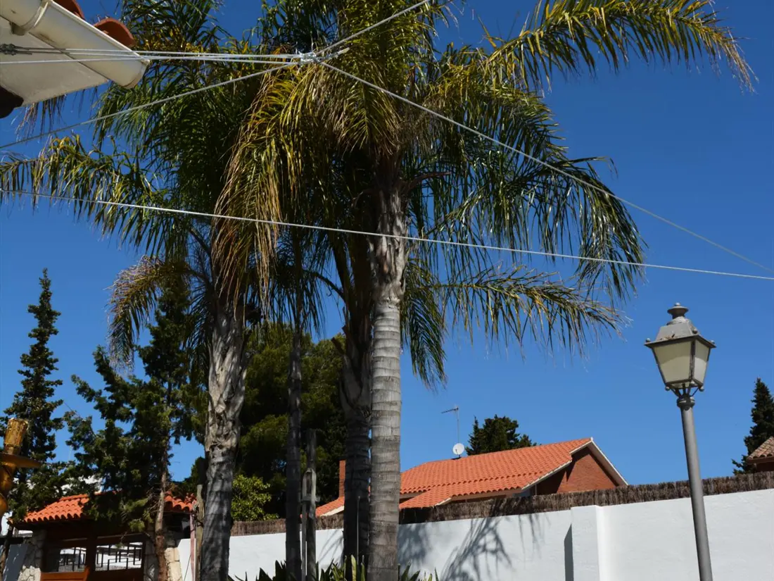 Location de Vacances Sitges 99