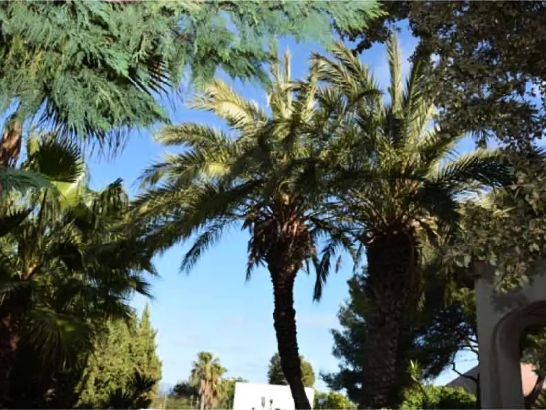 Maison de Vacances Sitges 46