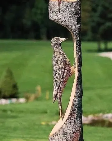 Résidence Cap Vert