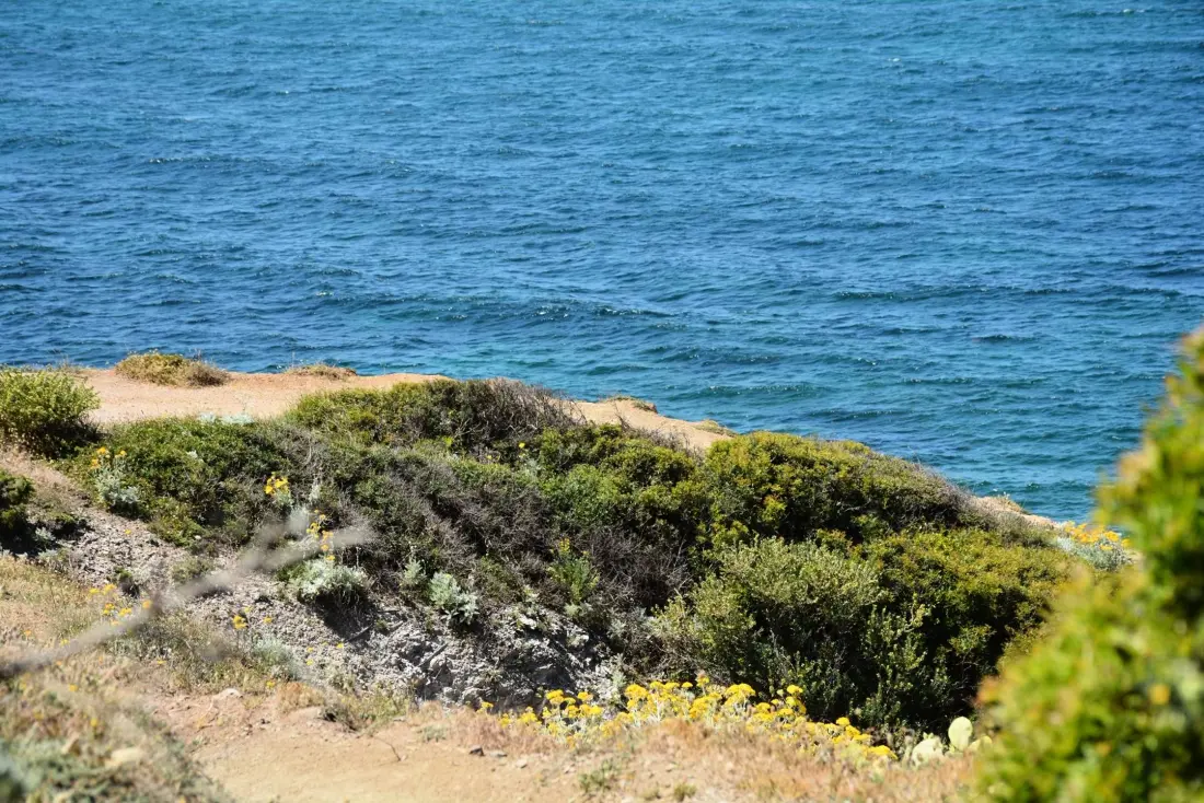 Résidence Les Jardins D Azur